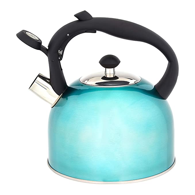 Amazon Basics Stainless Steel Tea Kettle in Teal