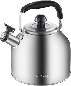 Stainless Steel Whistling Tea Kettle