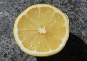 Fresh cut lemon