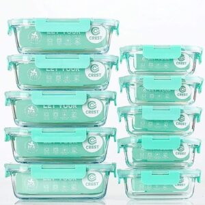 10 pack glass container set