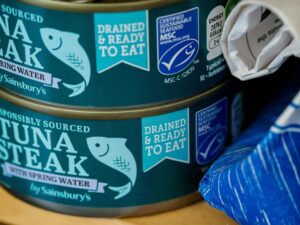 canned tuna for easy meals when you are low on energy